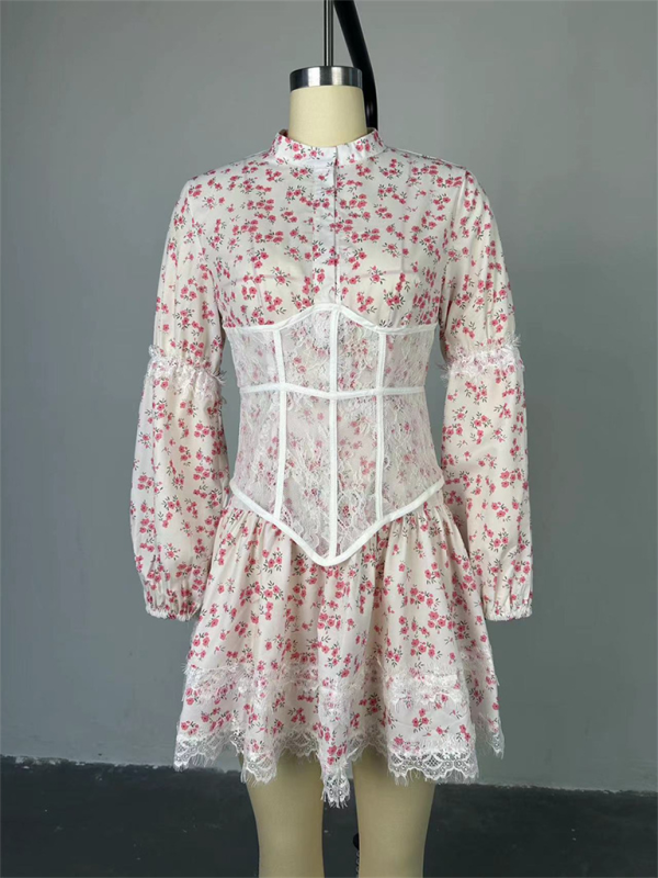 Neues süßes, frisches Spitzenkleid mit langem Ärmel und frischem Druck